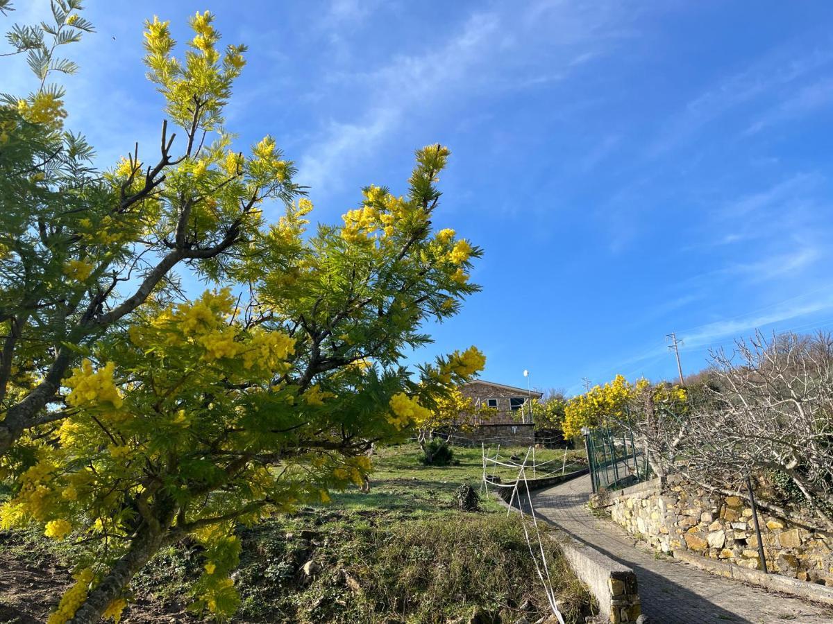 Agriturismo Le Mimose Imperia Extérieur photo