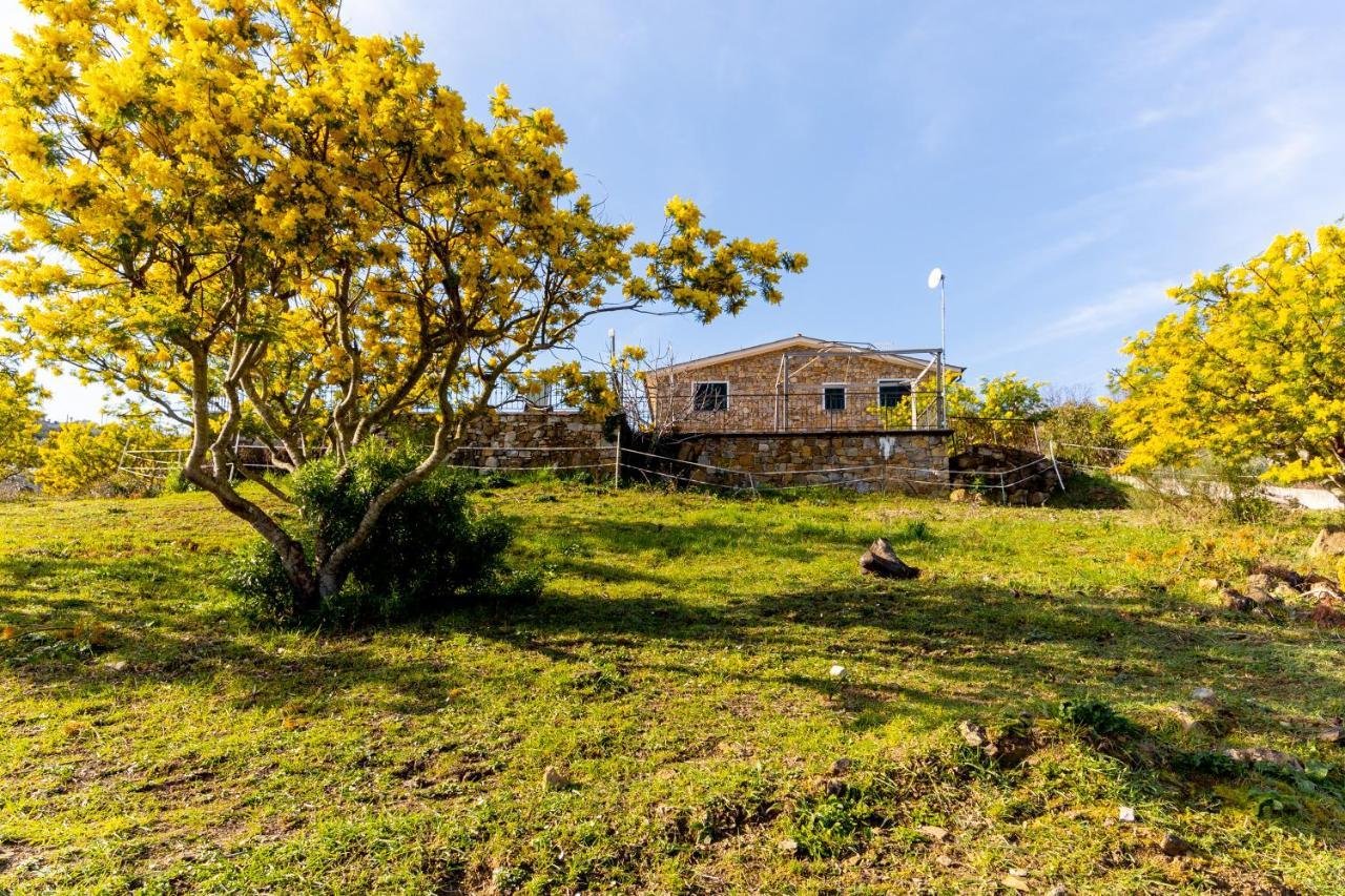 Agriturismo Le Mimose Imperia Extérieur photo